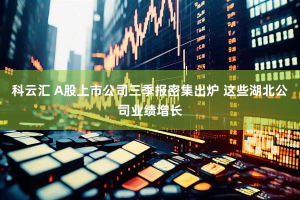 科云汇 A股上市公司三季报密集出炉 这些湖北公司业绩增长
