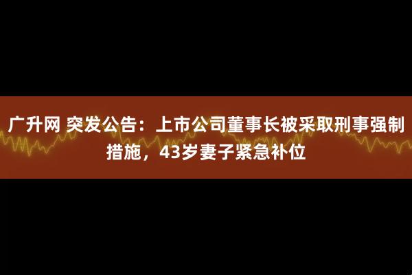 广升网 突发公告：上市公司董事长被采取刑事强制措施，43岁妻子紧急补位